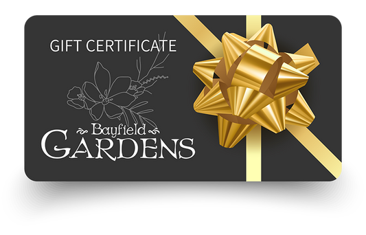 Bayfield Gardens E-Gift Card
